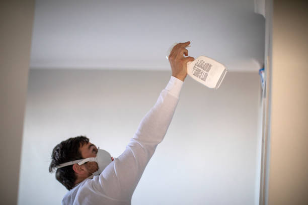 Best Local Mold Removal Service  in Mount Airy, NC