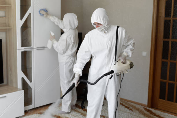 Best Mold Damage Repair  in Mount Airy, NC